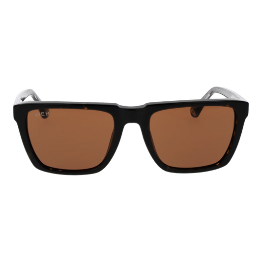 we0379-5556e_1.png