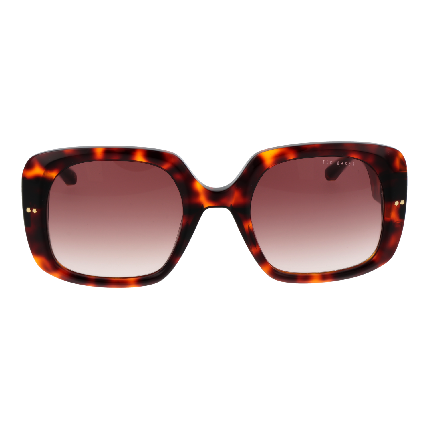 Ted Baker Sunglasses TB1730 100 53