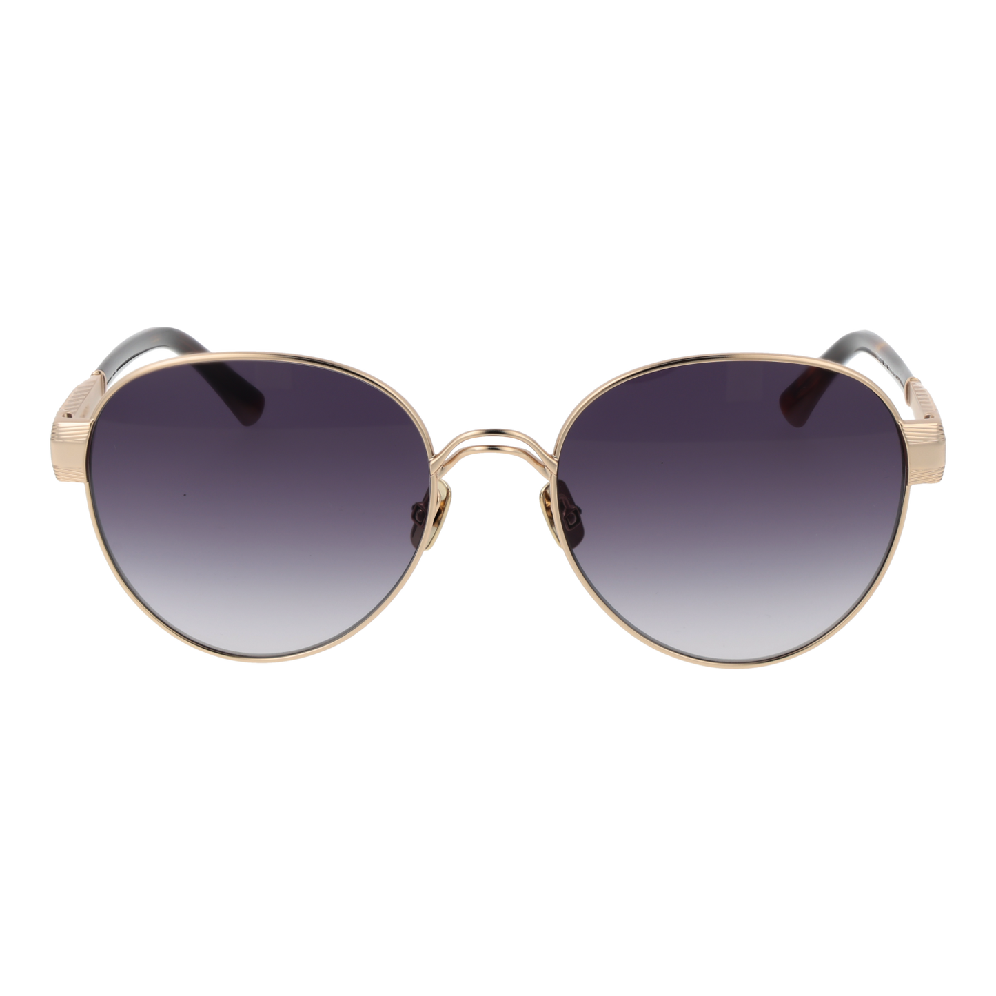 Sandro Sunglasses SD8021 403 54