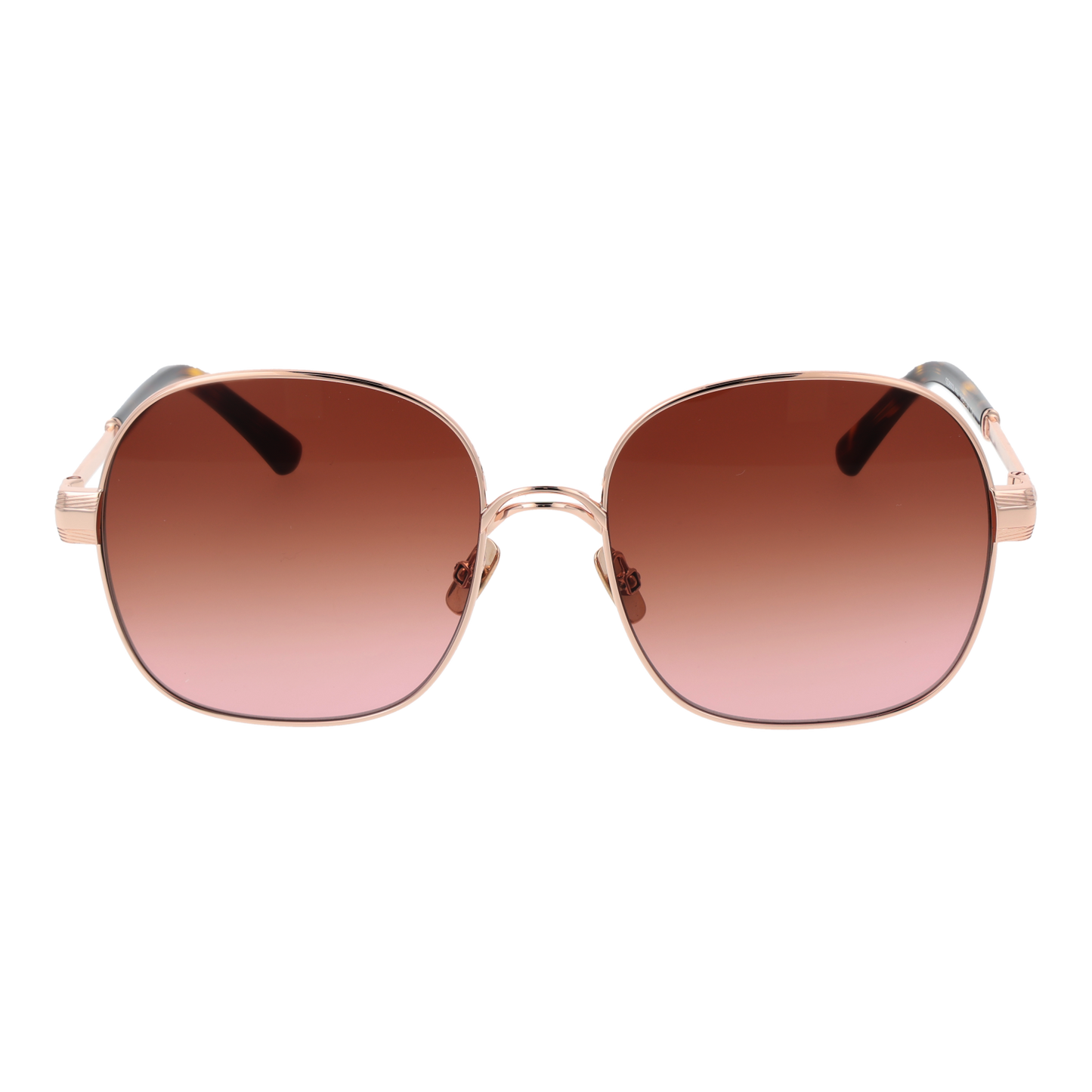 Sandro Sunglasses SD8022 406 56