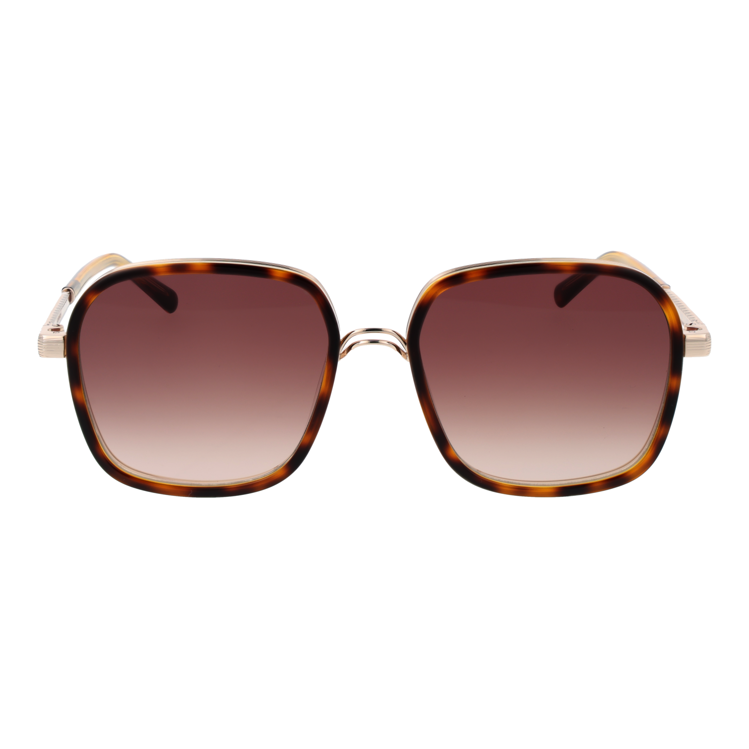 Sandro Sunglasses SD6050 170 54