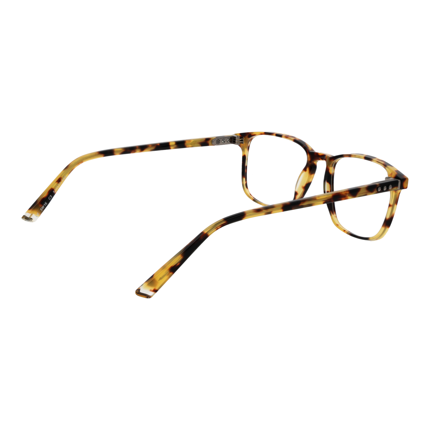 Taylor Morris Optical Frame SW16 C3 52