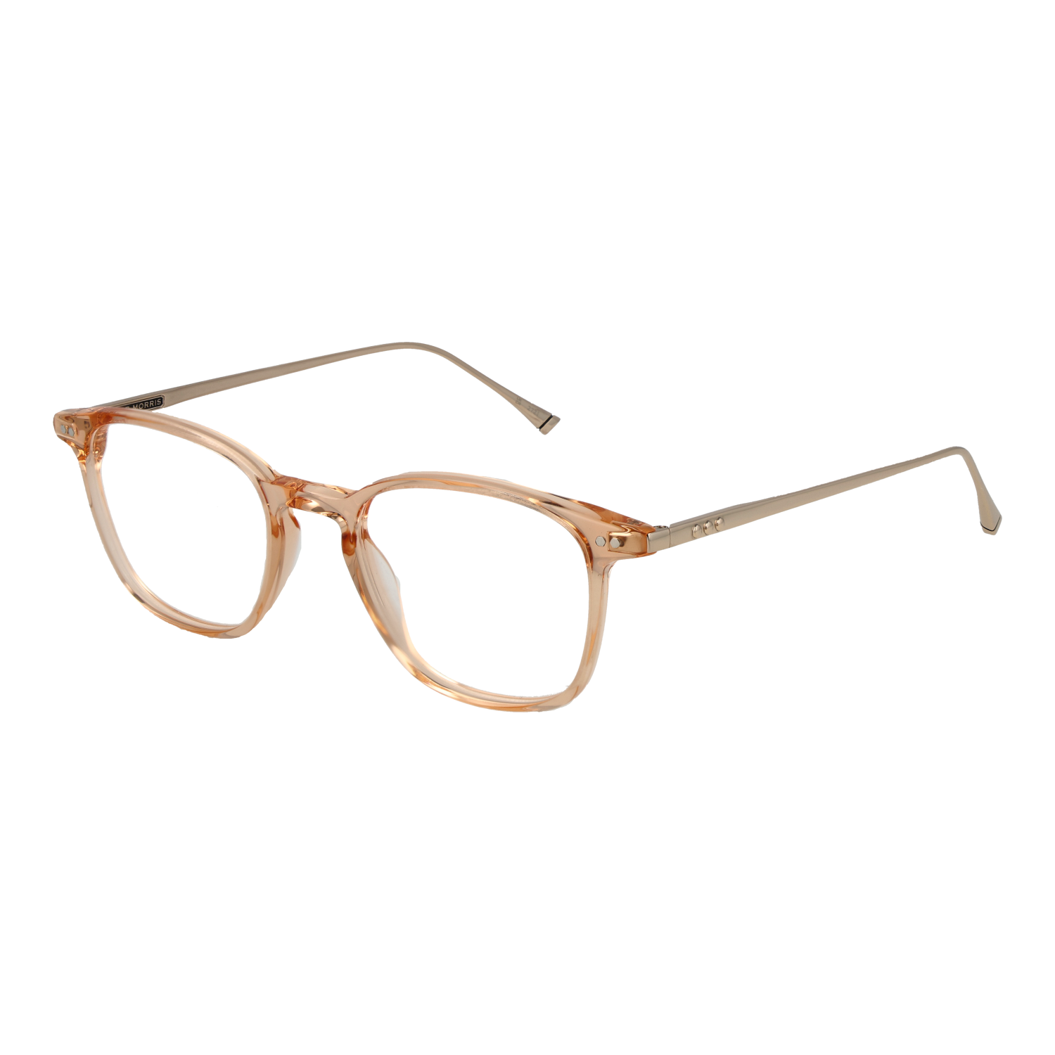 Taylor Morris Optical Frame W9 C5 48