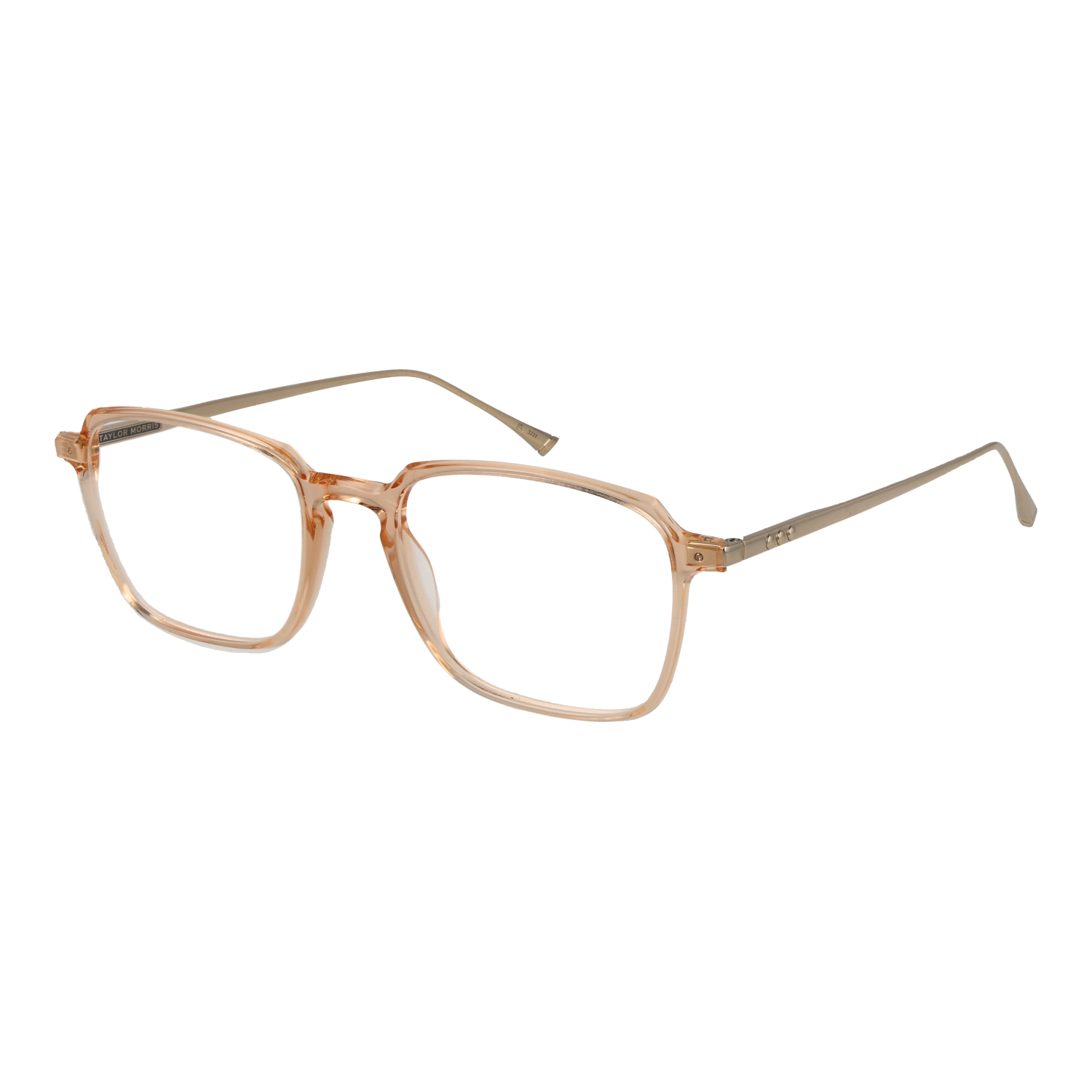 Taylor Morris Optical Frame SW3 C5 53