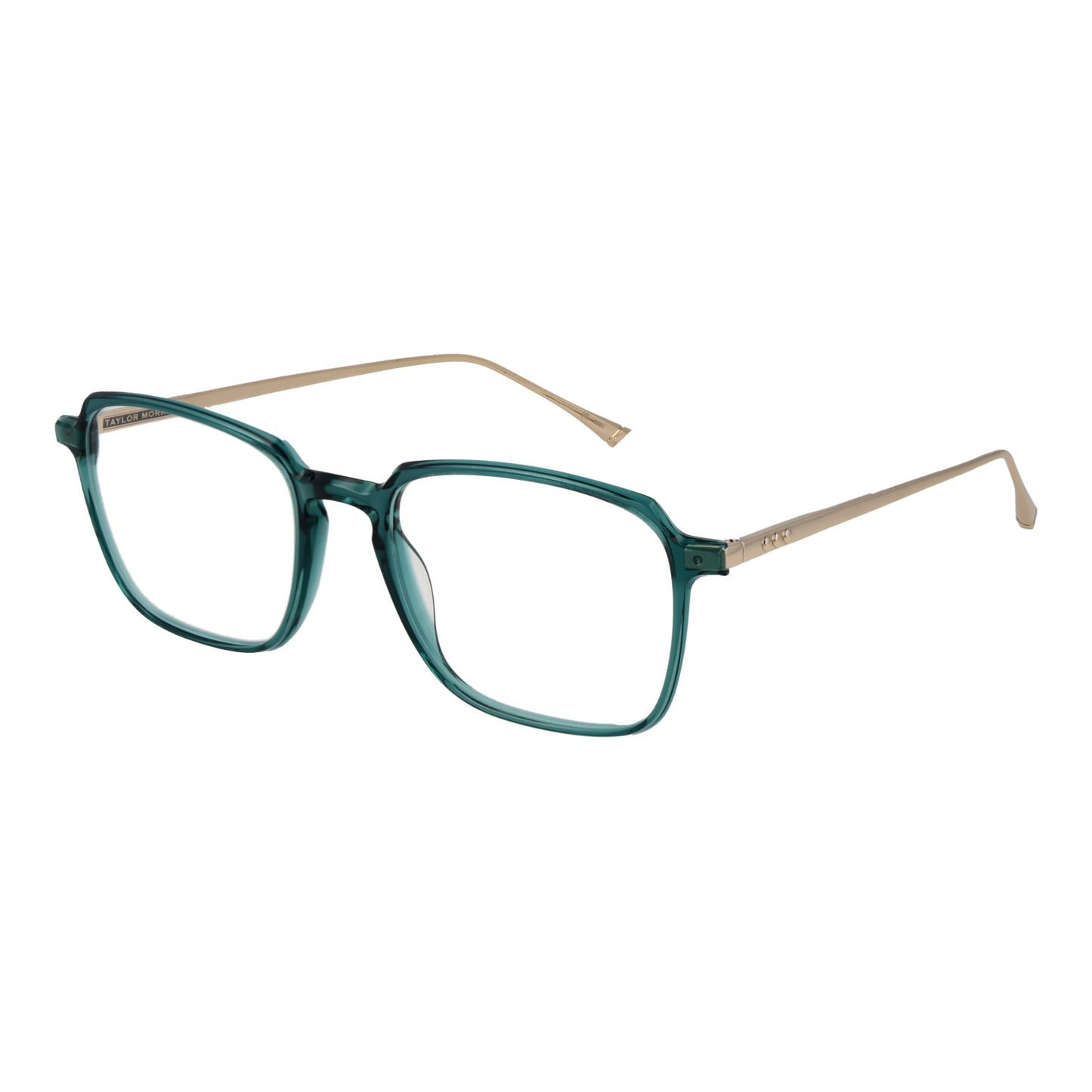 Taylor Morris Optical Frame SW3 C6 53