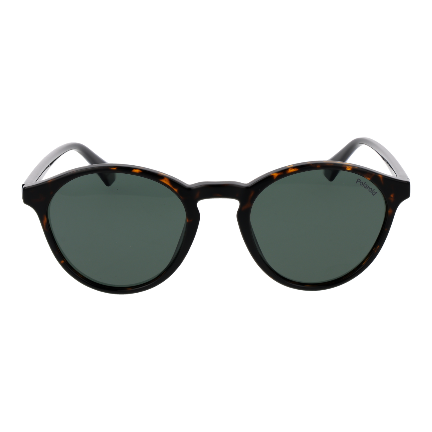 Polaroid Sunglasses PLD 4153/S 086UC 50