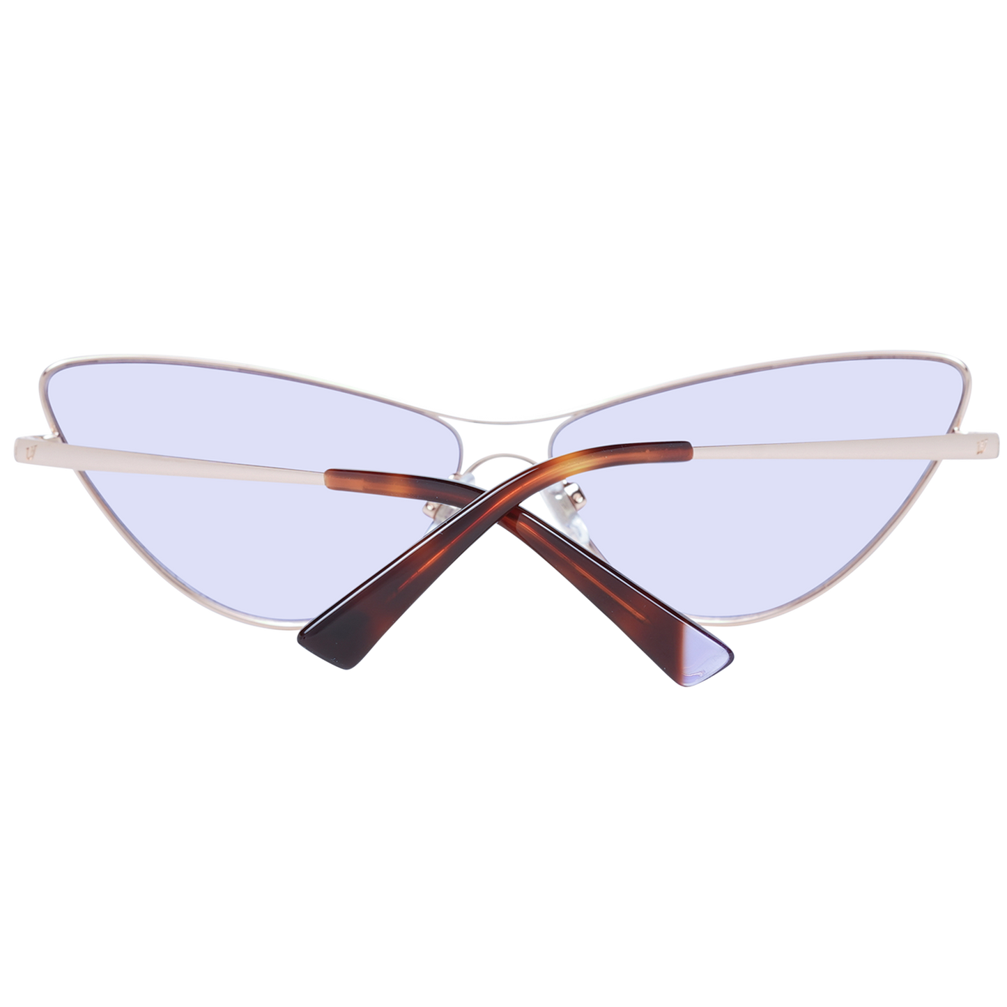 Web Sunglasses WE0269 33Y 65