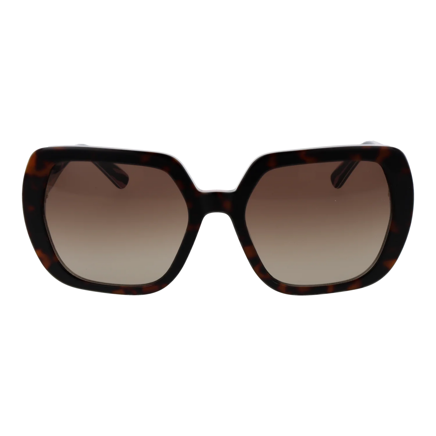 mol082-s-56mapha_1.png