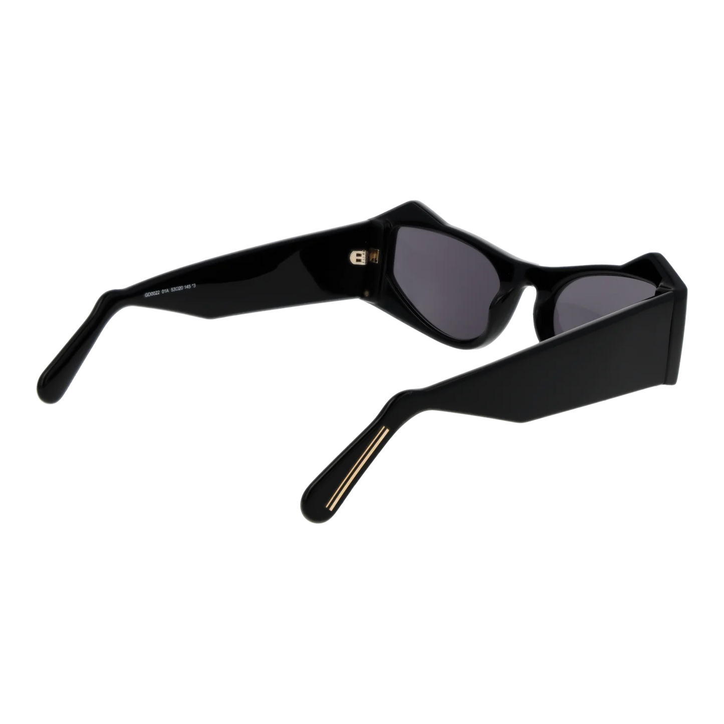 gd0022-5301a_2.png