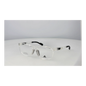 sp5092-d-58026.png