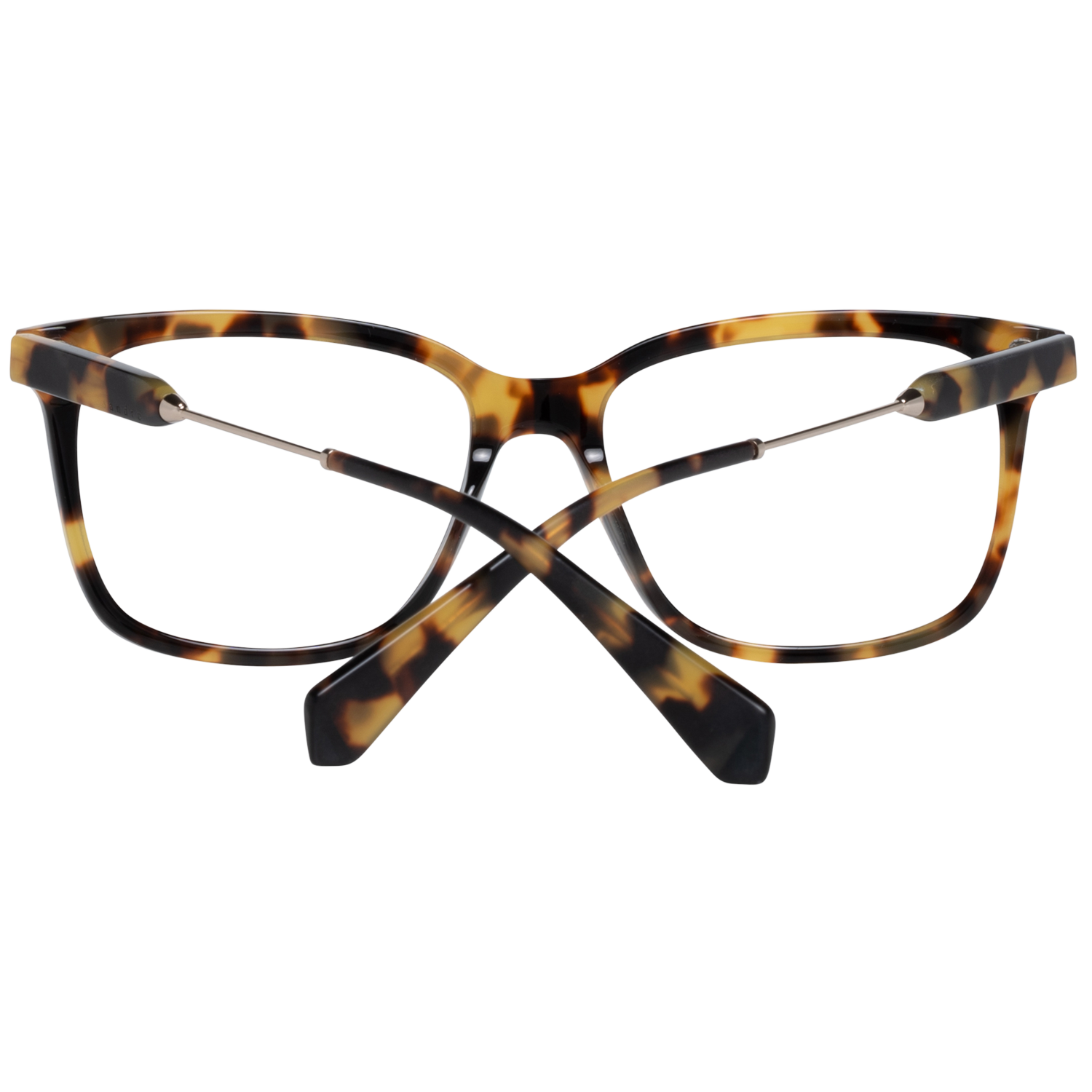 Sandro Optical Frame SD1011 206 53