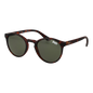 sds-saratoga-47102.png