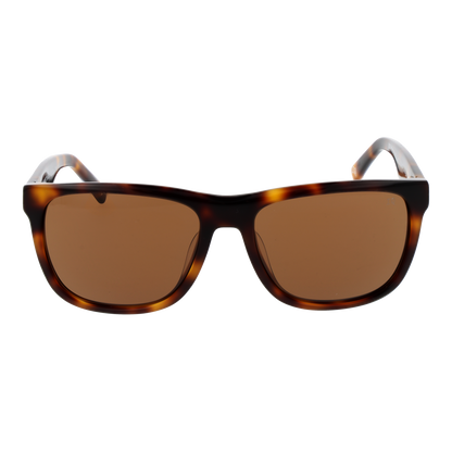 Botaniq Sunglasses BIS-7015 102 56