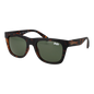 sds-byronville-53102a.png
