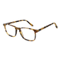 Taylor Morris Optical Frame SW16 C3 52