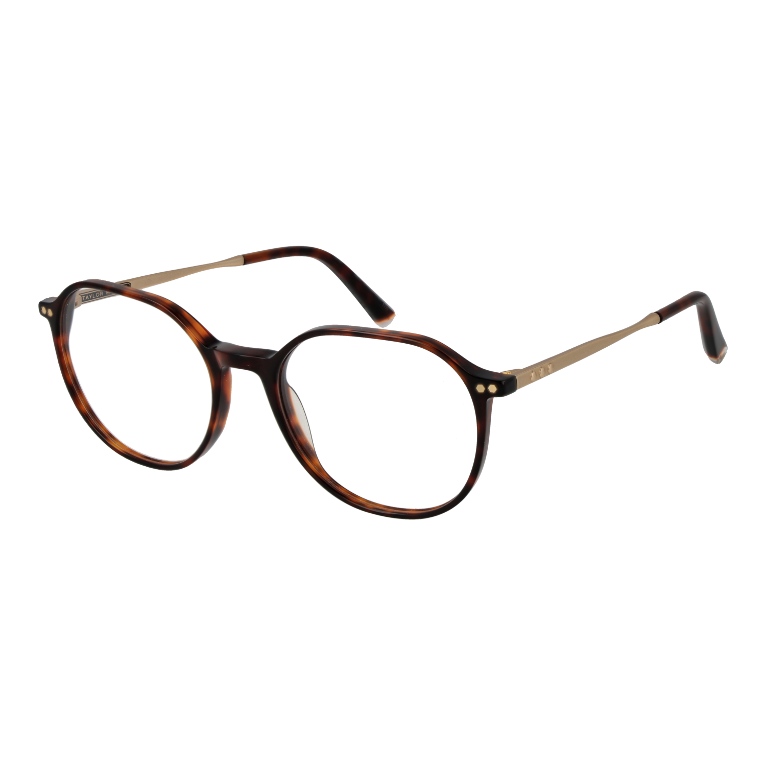 Taylor Morris Optical Frame SW2 C6 51