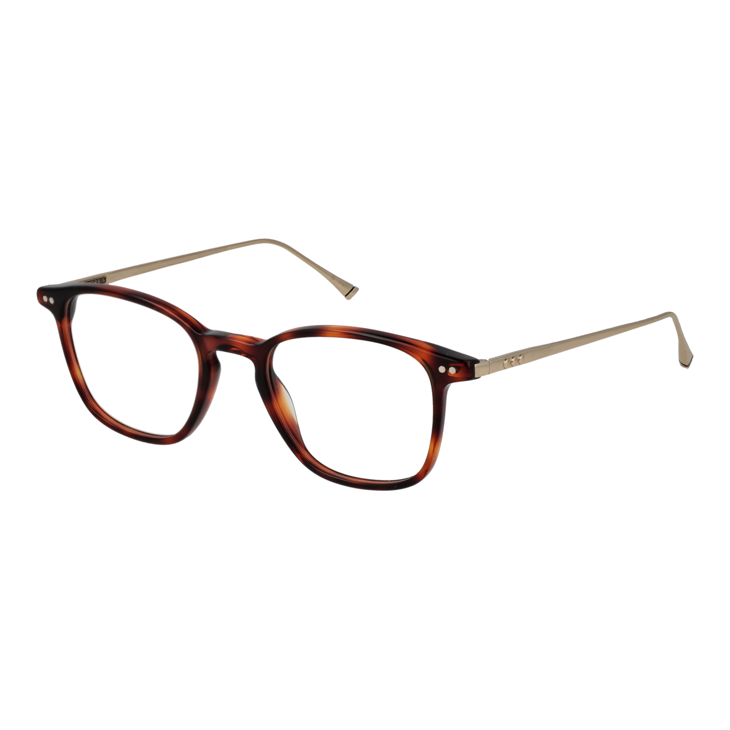 Taylor Morris Optical Frame W9 C2 48