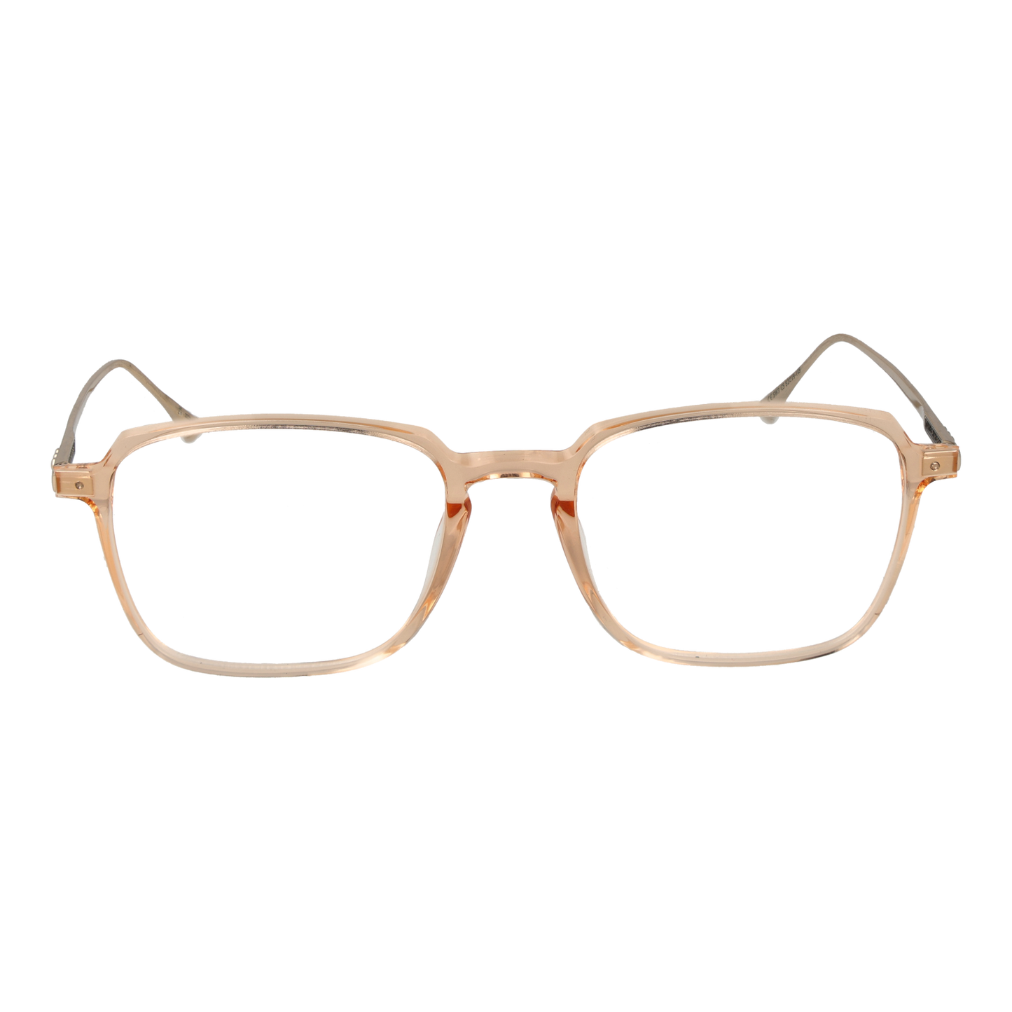 Taylor Morris Optical Frame SW3 C5 53