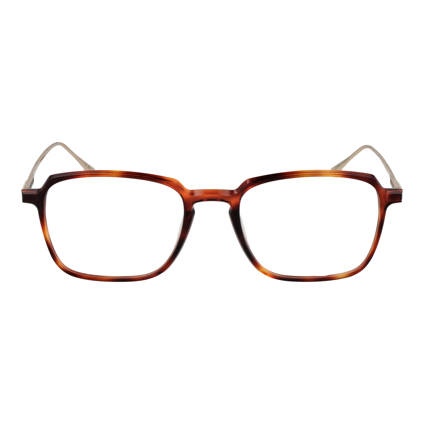Taylor Morris Optical Frame SW3 C7 53