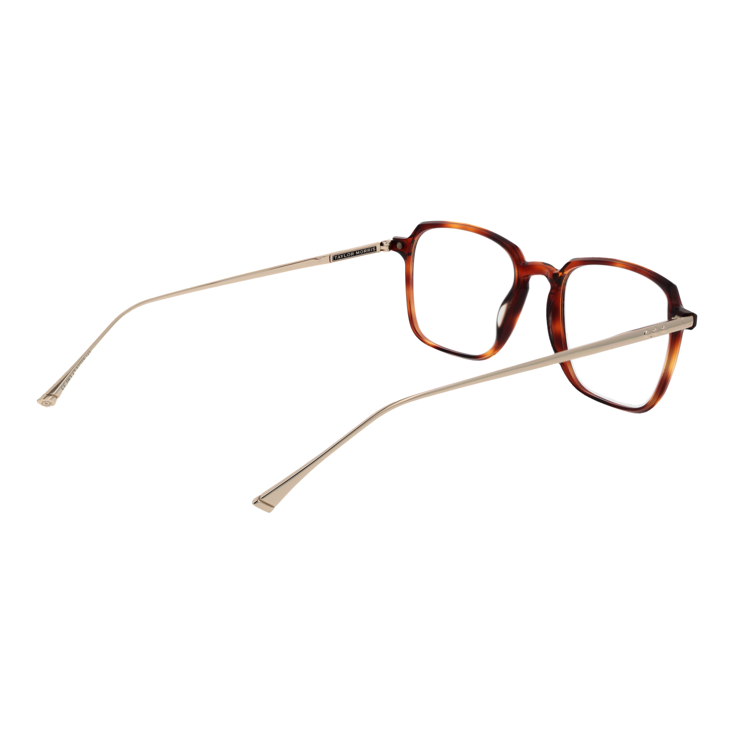 Taylor Morris Optical Frame SW3 C7 53