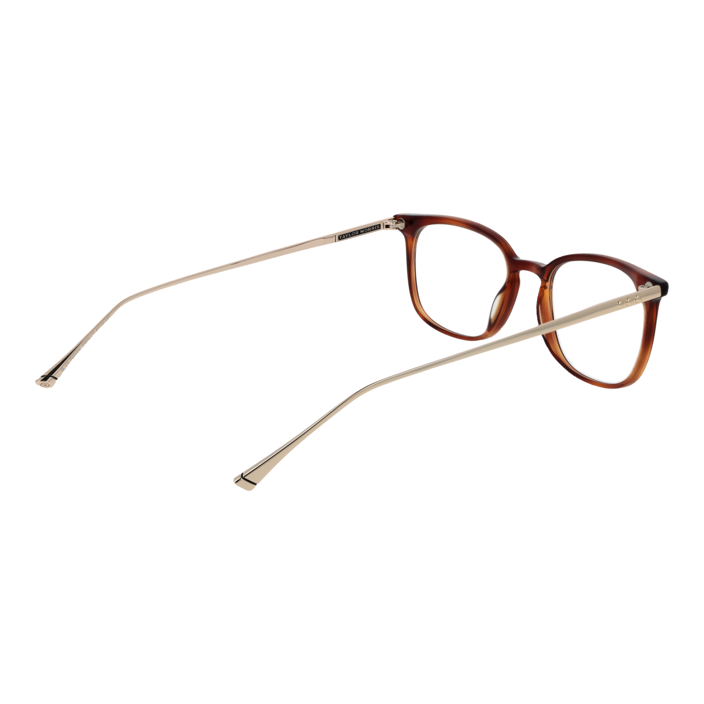 Taylor Morris Optical Frame TM06 C2 49