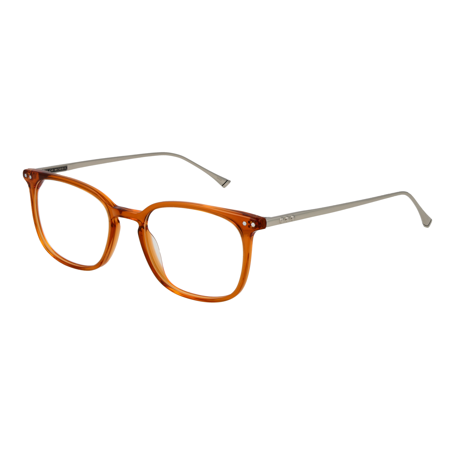 Taylor Morris Optical Frame TM06 C3 49
