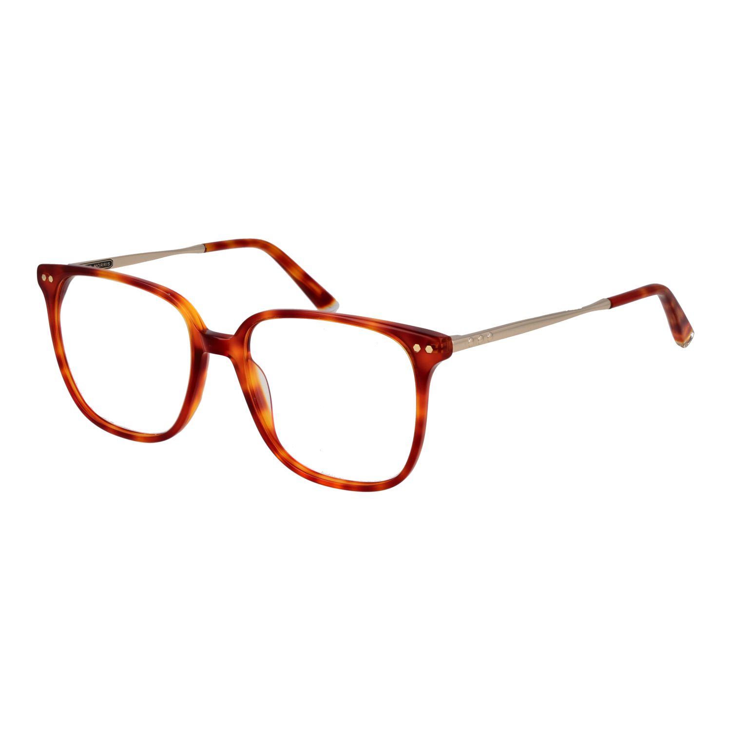 Taylor Morris Optical Frame TM08 C2 53