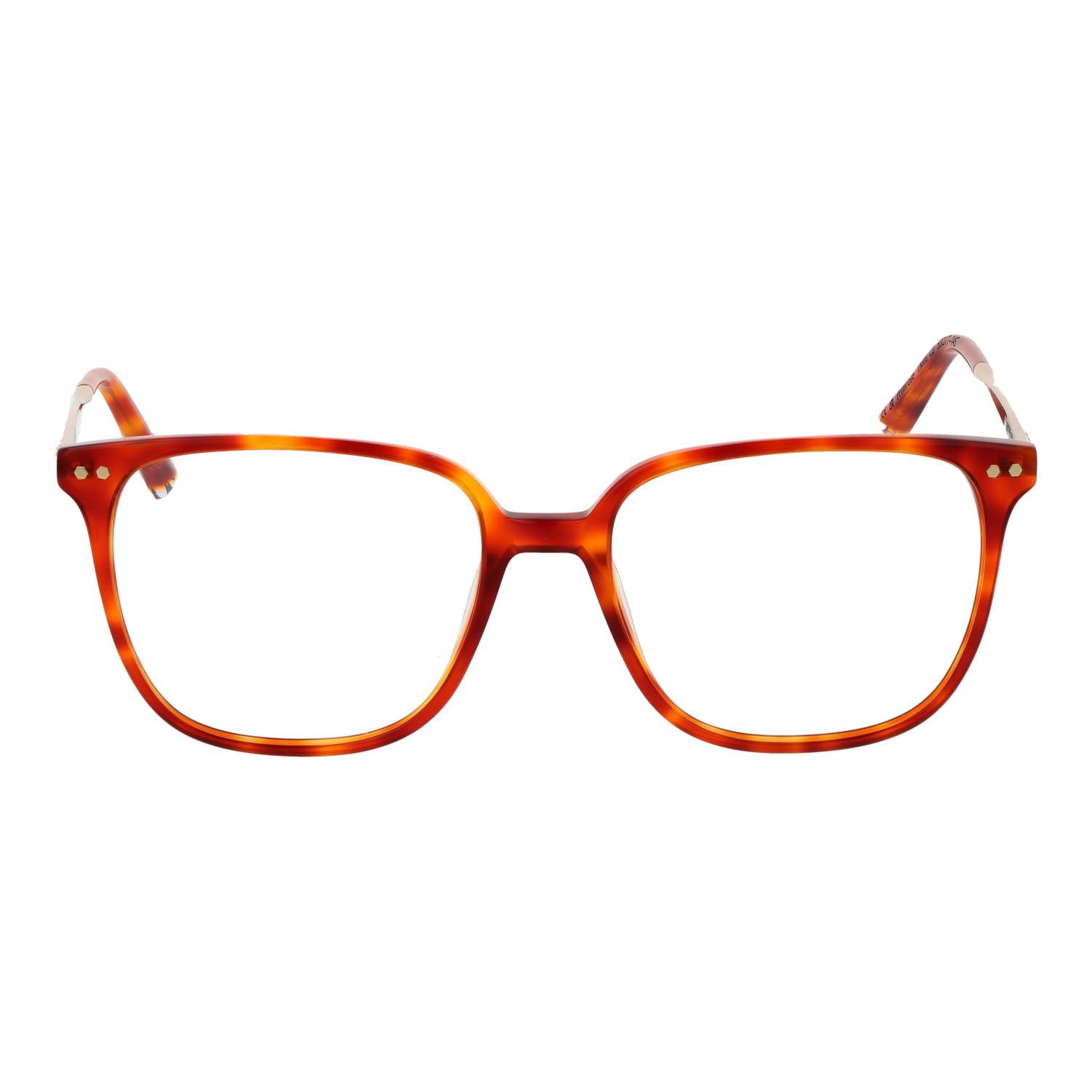 Taylor Morris Optical Frame TM08 C2 53