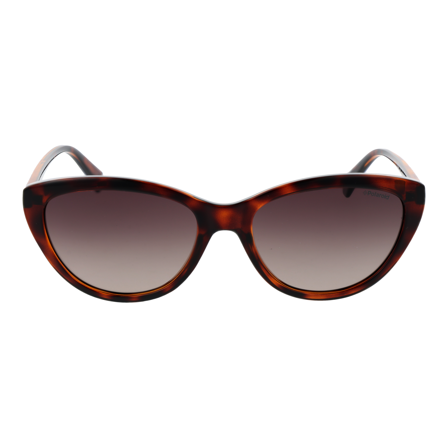 Polaroid Sunglasses PLD 4080/S 086LA 55