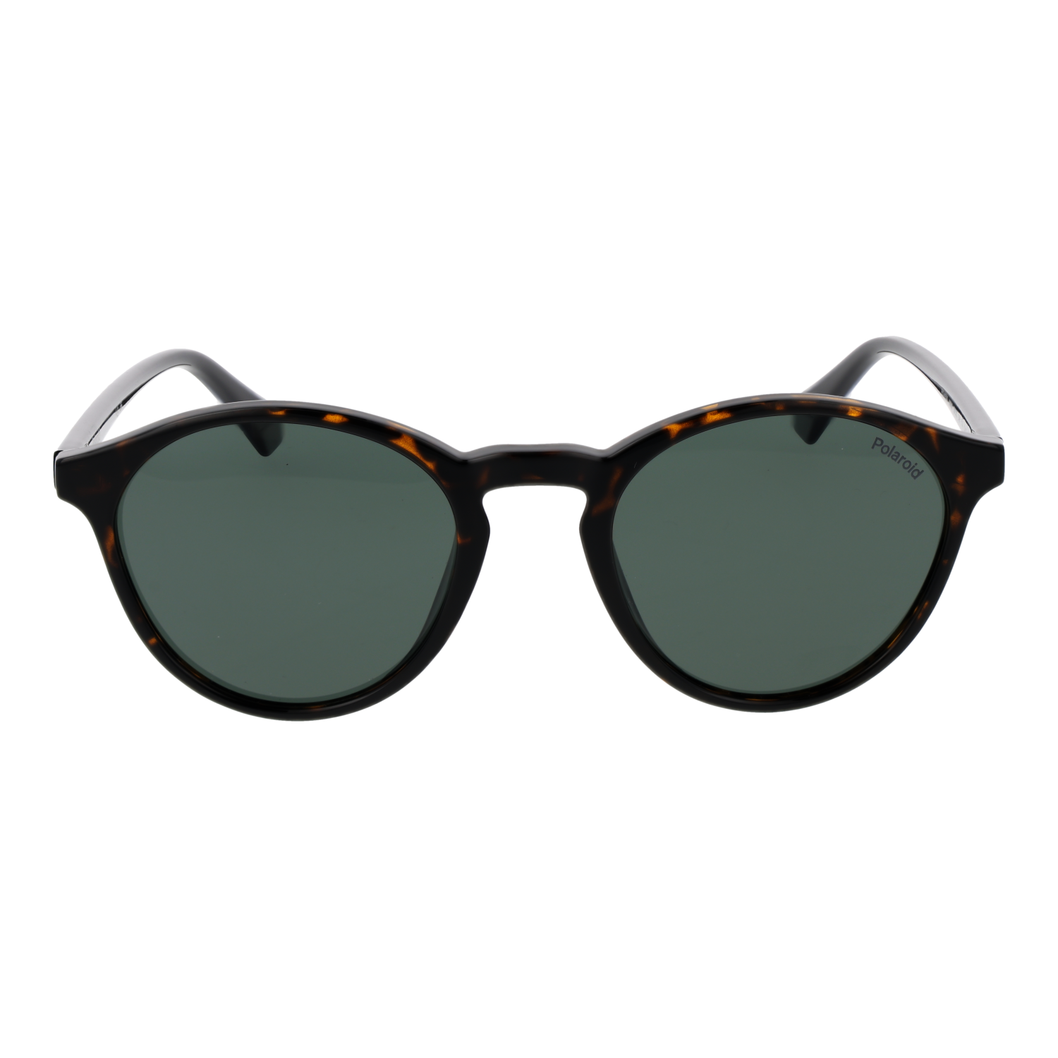 Polaroid Sunglasses PLD 4153/S 086UC 50
