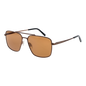 Serengeti Sunglasses SS554001 Aitkin