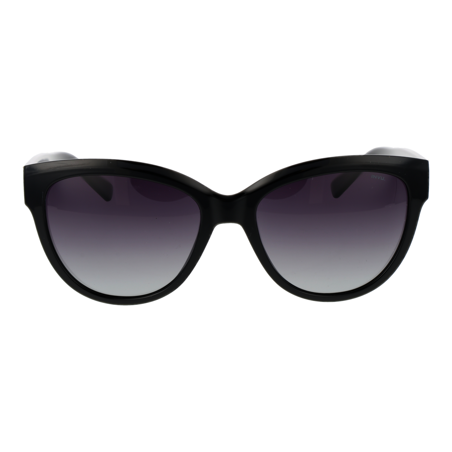 Invu Sunglasses B2331 A 56