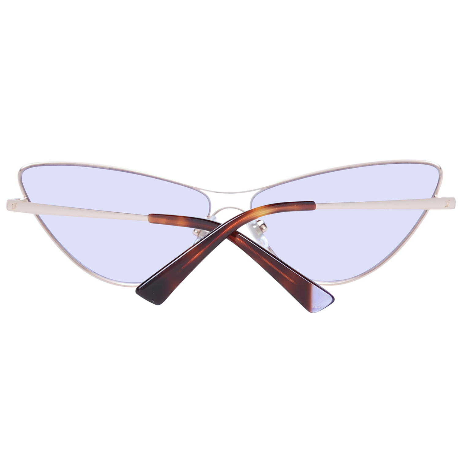 Web Sunglasses WE0269 33Y 65