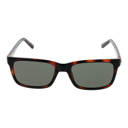Guess Sunglasses GU00066 52N 55